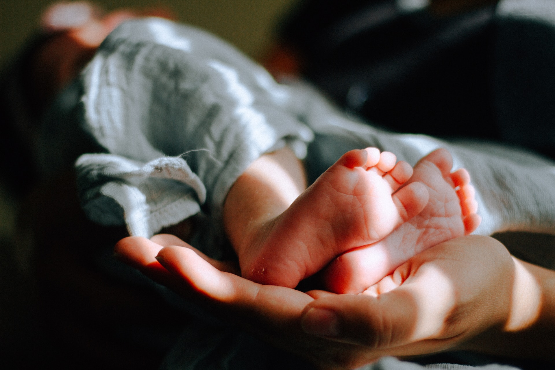 Photographe naissance Grenoble