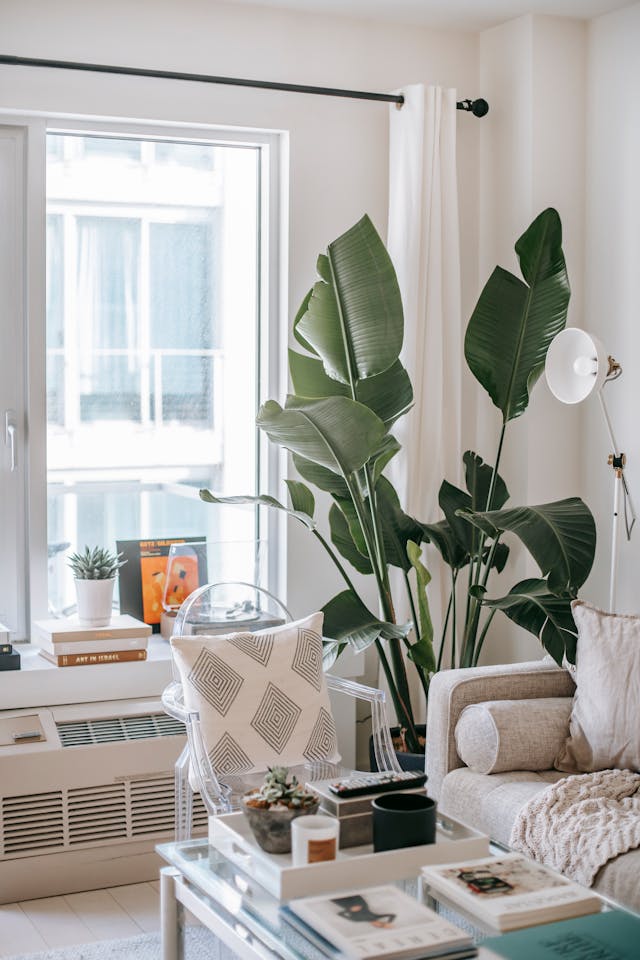 Photographe immobilier Lyon